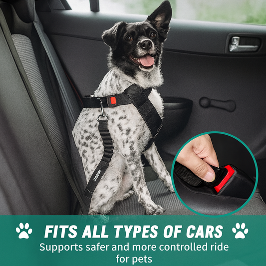 PawGuard™-Innovative Pet Safety Belt