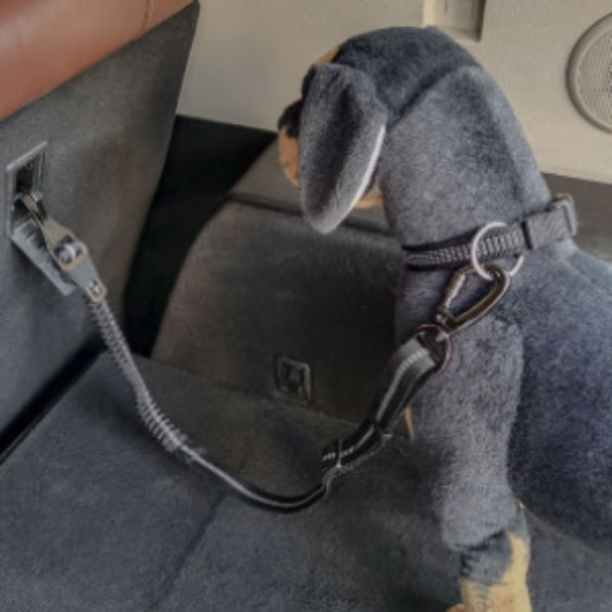 PawGuard™-Innovative Pet Safety Belt